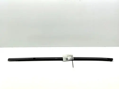 Nissan Ariya Front door glass trim molding 808215MP0A