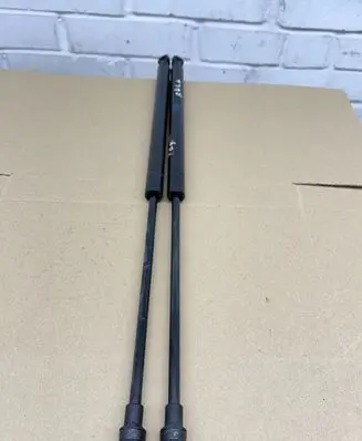 Tailgate strut