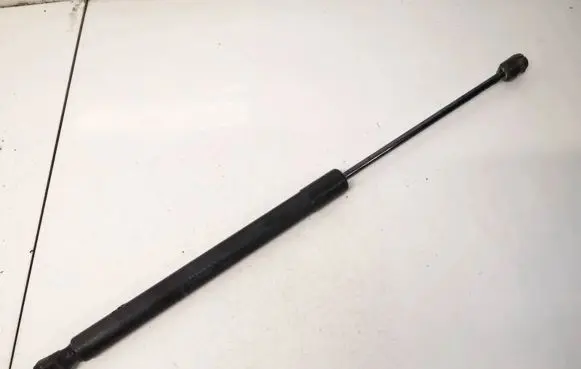 Tailgate/trunk strut/damper