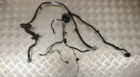 Tesla Model S Rear door wiring loom 100442600P
