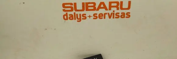 Subaru Outback (BS) Panel trim
