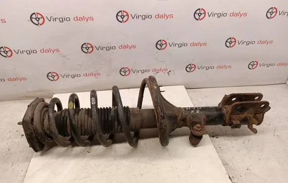 Hyundai Tucson JM Rear shock absorber with coil spring 