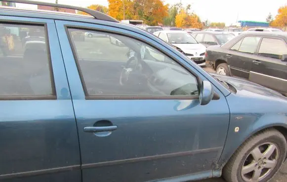 Skoda Octavia Mk2 (1Z) Front door 