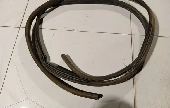 Renault Scenic I Rubber seal front coupe door 