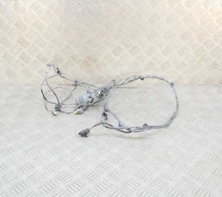 Mercedes-Benz GLS X166 Other wiring loom A1675405433
