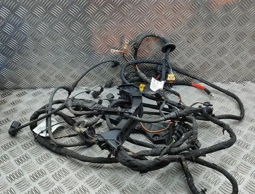 Cupra Born Engine installation wiring loom 1EA971658A TAB016490CD