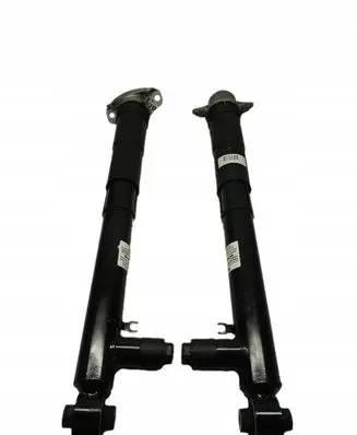 Rear shock absorber/damper