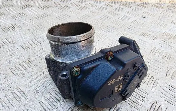 KIA Carens III Throttle valve 351002A900