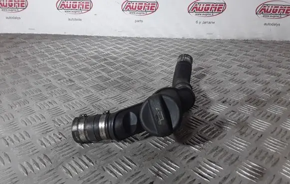 Volkswagen PASSAT B5.5 Oil fill pipe 96383233780