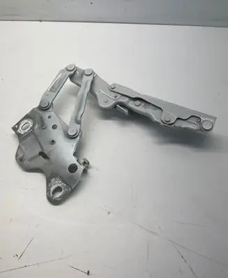 BMW X7 G07 Engine bonnet/hood hinges 7418202 220818