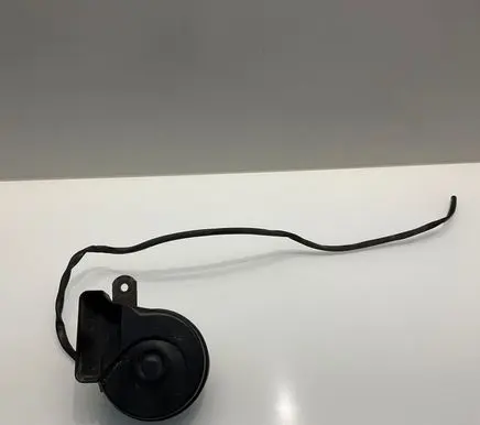 Horn signal
