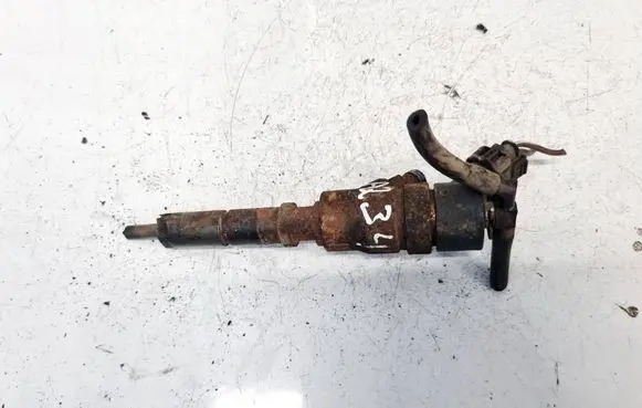 Peugeot Boxer Fuel injector 0445110076 9641742880