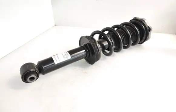 BMW X4 G02 Rear shock absorber with coil spring 6890945