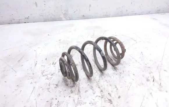 Rear coil spring