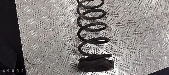 Hyundai i20 (PB PBT) Rear coil spring
