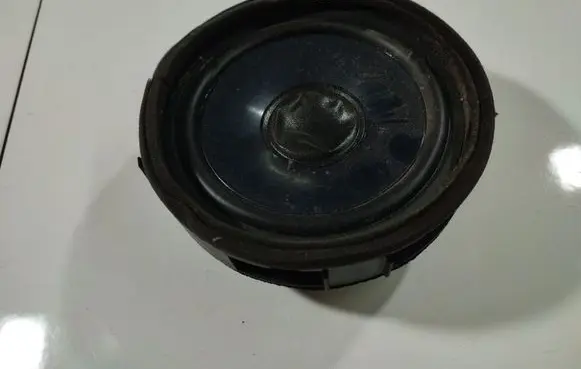 Peugeot 4007 Front door speaker 7H511a