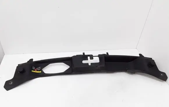 Engine bonnet/hood lock trim molding