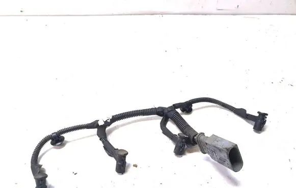 Other wiring loom