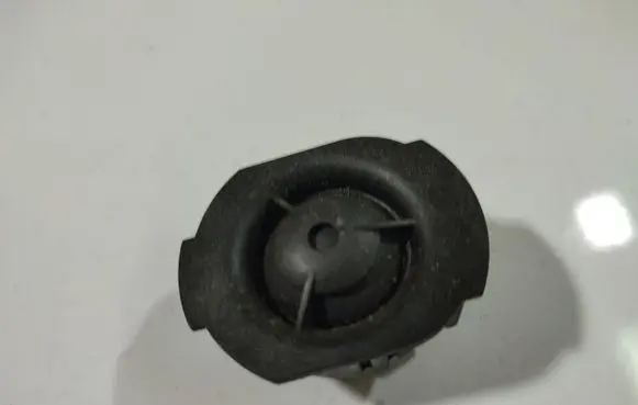 Front door speaker
