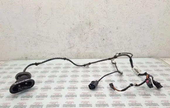 Seat Exeo (3R) Rear door wiring loom 3R0971687