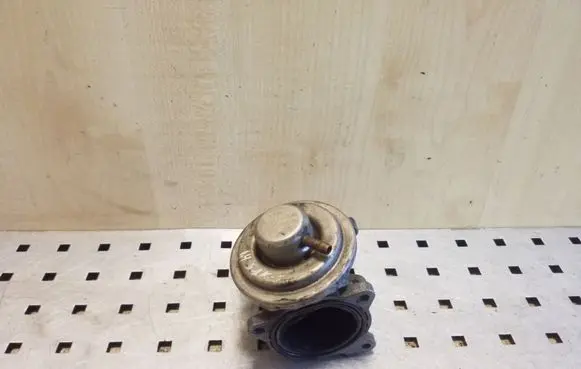 EGR valve