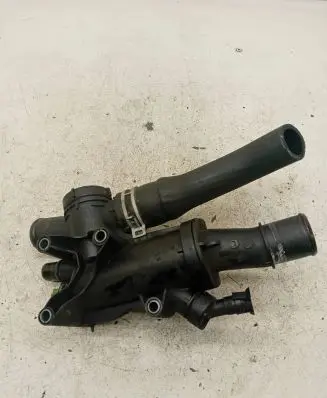Thermostat/thermostat housing