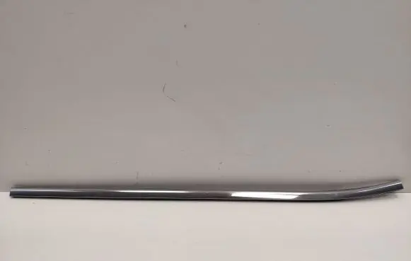 Chrysler Pacifica Front door trim (molding)