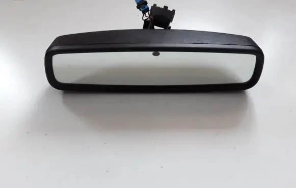 Ford Focus Rear view mirror (interior) E11026532