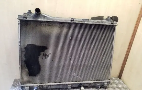 Suzuki Grand Vitara II Coolant radiator 4220008054