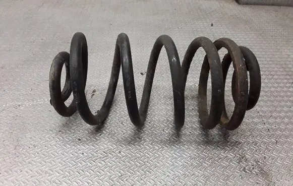 Opel Insignia A Rear coil spring 