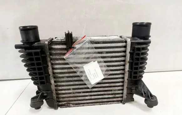 Nissan Juke I F15 Intercooler radiator 144611KB1A