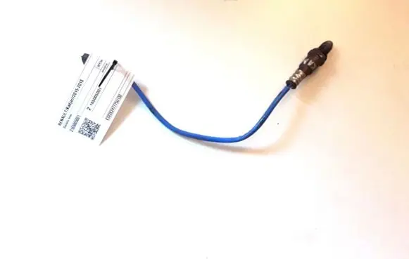 Renault Kadjar Sensor 2165005001