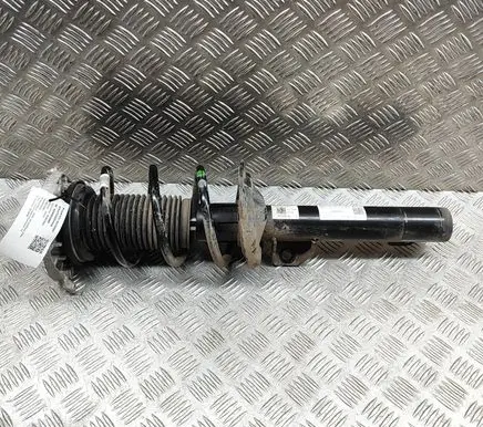 Audi Q4 Sportback e-tron Front shock absorber/damper 1EA412021EF