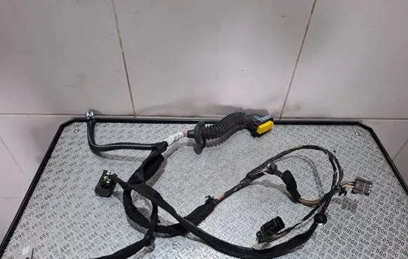 Renault Trafic II (X83) Front door wiring loom 8200621567