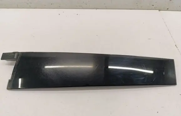 Ford Mustang Mach-E Rear door glass trim molding LJ8BR254A40ABW