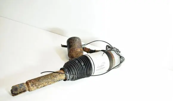 Audi A8 S8 D3 4E Rear shock absorber/damper 4E0616001H