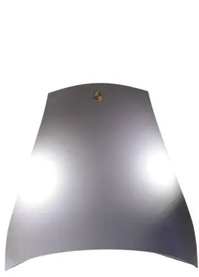 Porsche Boxster 986 Engine bonnet/hood 99651101102 99651101103