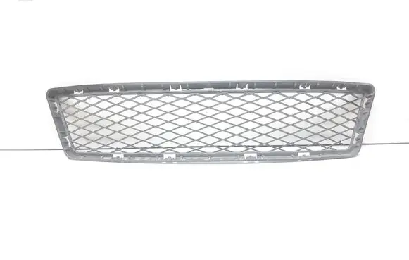 BMW 3 E92 E93 Front bumper lower grill 7128234 51117128234