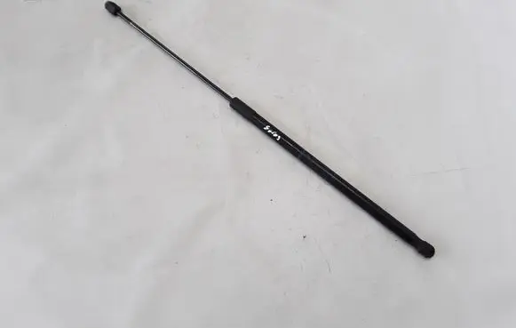 Tailgate strut