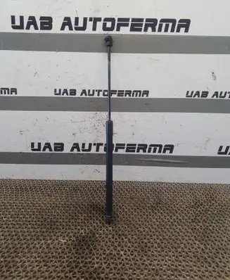 Nissan Murano Z51 Tailgate/trunk strut/damper 904501AB0A