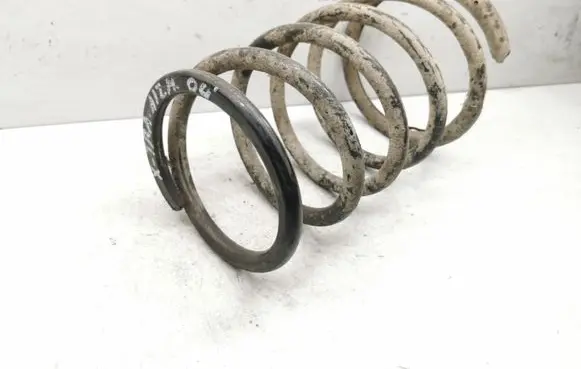 Rear coil spring