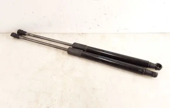 Renault Twingo II Tailgate/trunk strut/damper 8200385560