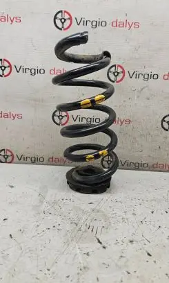 Front coil spring
