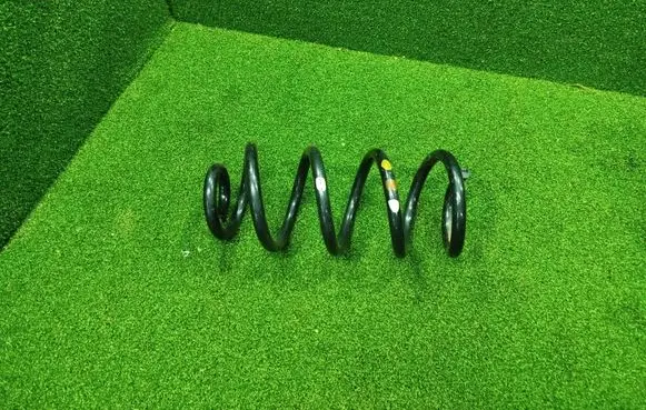 Rear coil spring