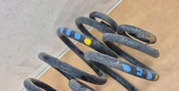 Rear coil spring
