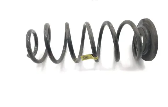 KIA Rio Rear coil spring