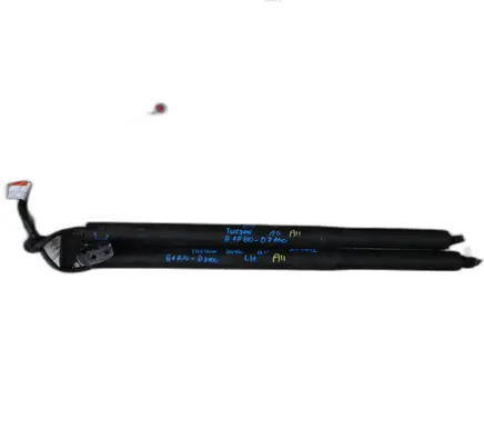 Tailgate strut