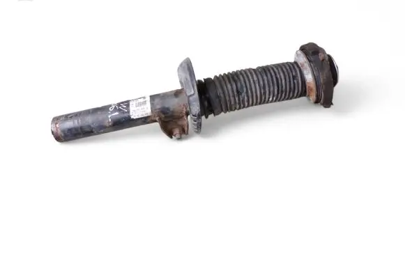 Volkswagen PASSAT B6 Front shock absorber/damper 3C0413031AA