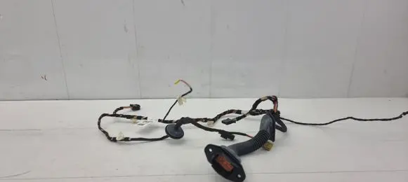 Mercedes-Benz ML W164 Front door wiring loom A0015455945