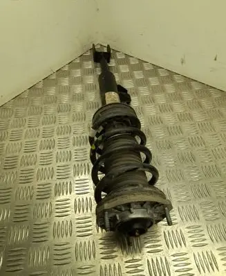 Alfa Romeo Giulia Front shock absorber with coil spring 50544247